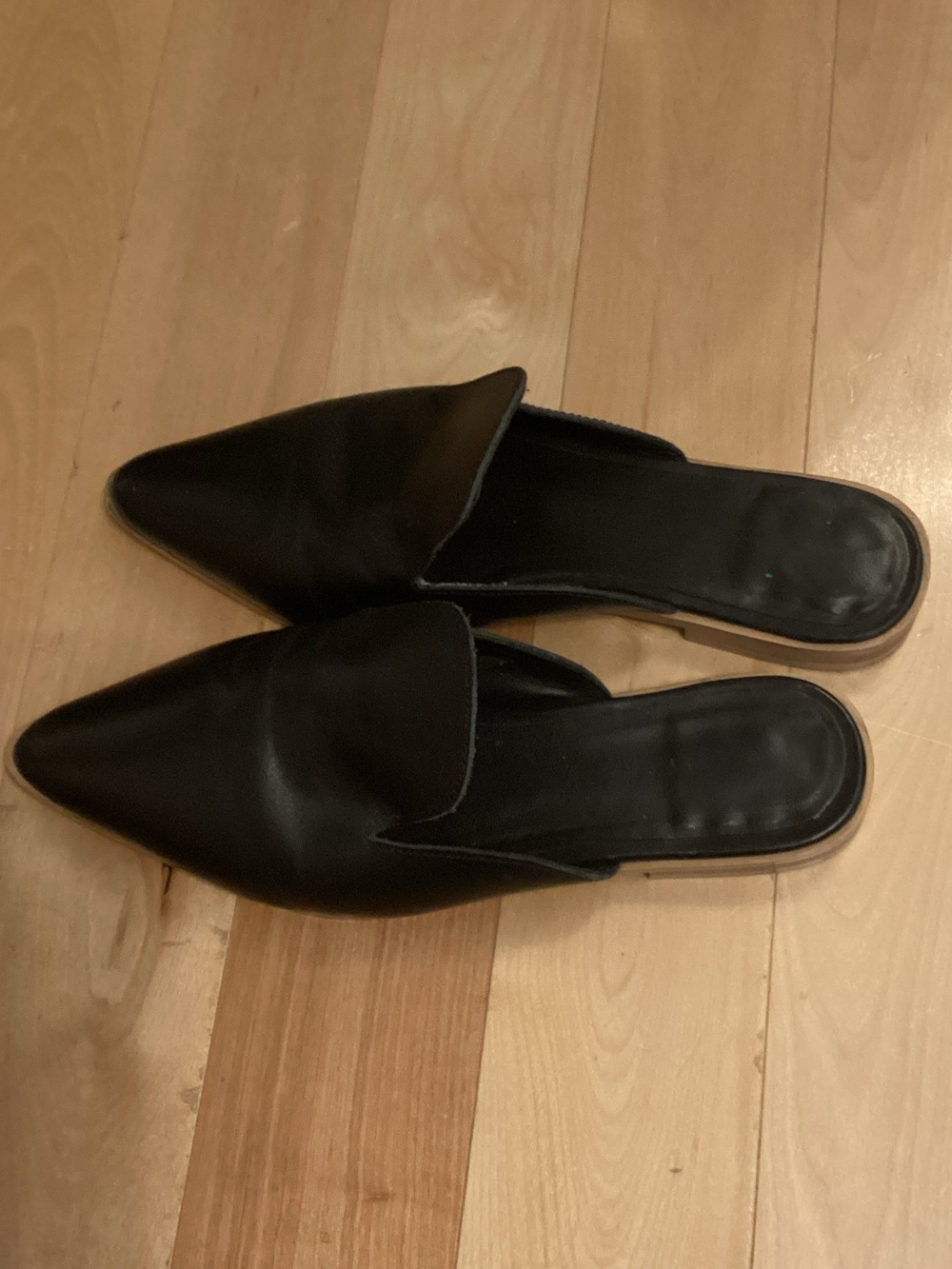 Roolee Black Pointed Leather Slip-On Mules